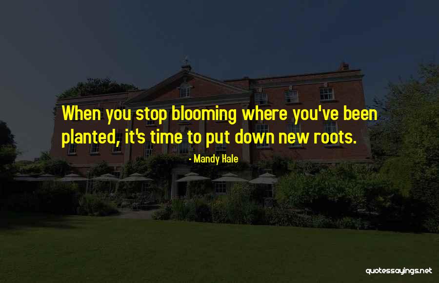 Blooming Where You're Planted Quotes By Mandy Hale