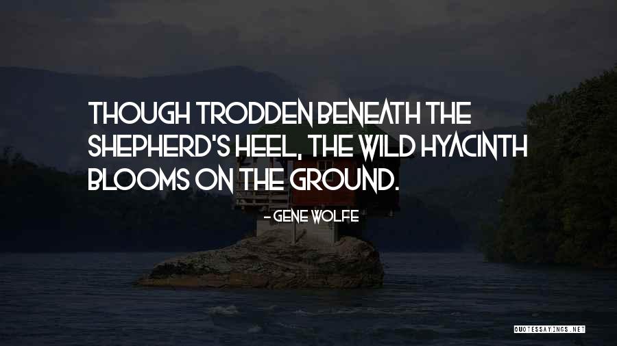 Blooms Quotes By Gene Wolfe Blooms Quotes By Gene Wolfe