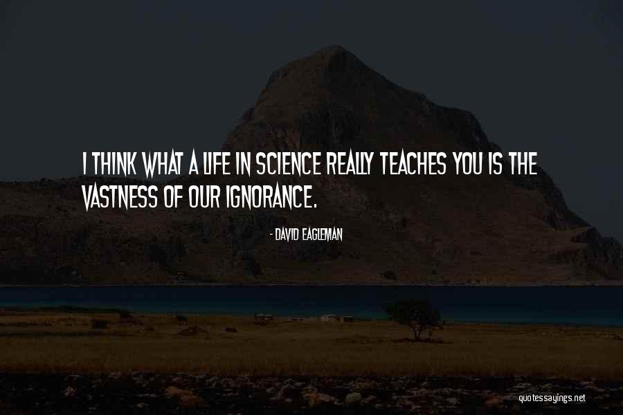 Bloqueio Quotes By David Eagleman Bloqueio Quotes By David Eagleman