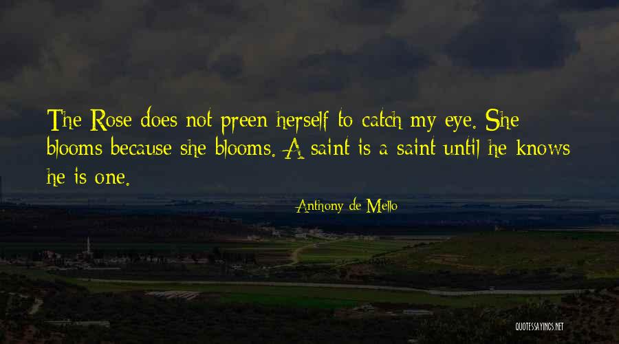 Bloquer Windows Quotes By Anthony De Mello Bloquer Windows Quotes By Anthony De Mello