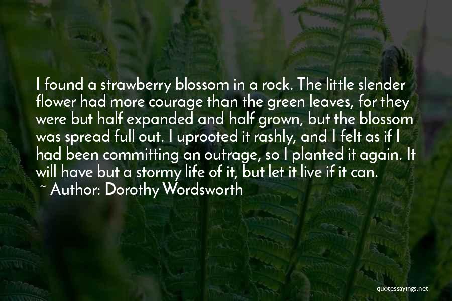 Blossom Flower Quotes By Dorothy Wordsworth