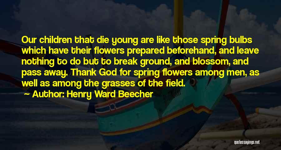 Blossom Flower Quotes By Henry Ward Beecher