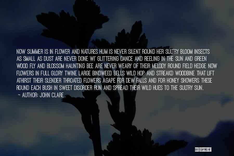 Blossom Flower Quotes By John Clare