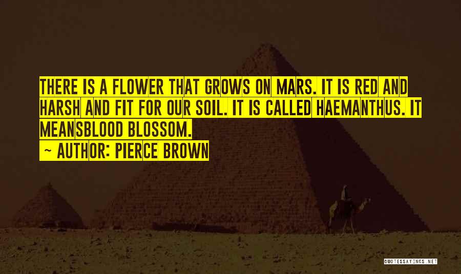 Blossom Flower Quotes By Pierce Brown