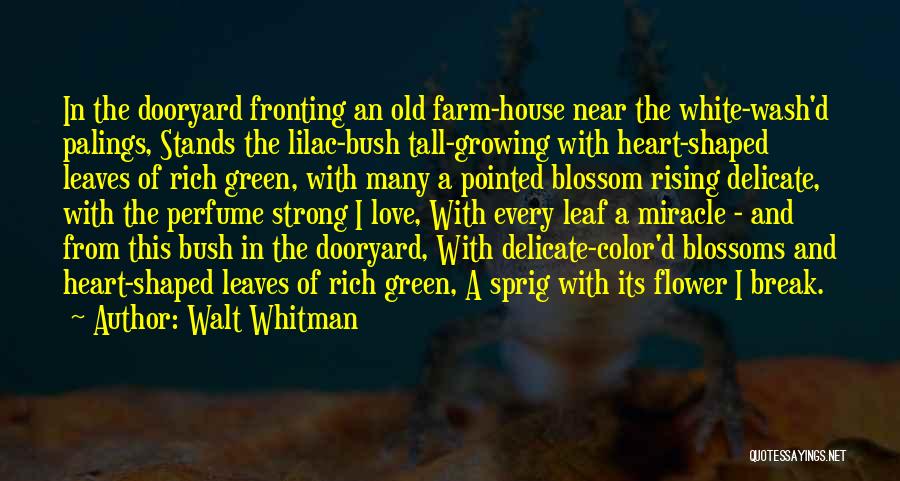 Blossom Flower Quotes By Walt Whitman