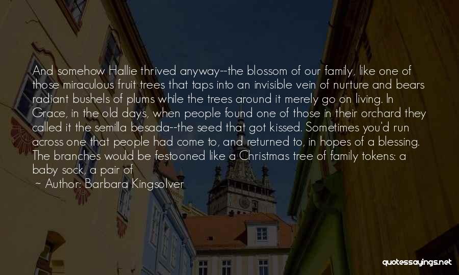 Blossom Tree Quotes By Barbara Kingsolver