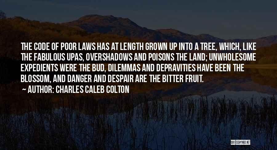 Blossom Tree Quotes By Charles Caleb Colton