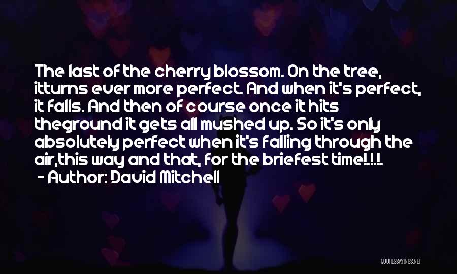 Blossom Tree Quotes By David Mitchell