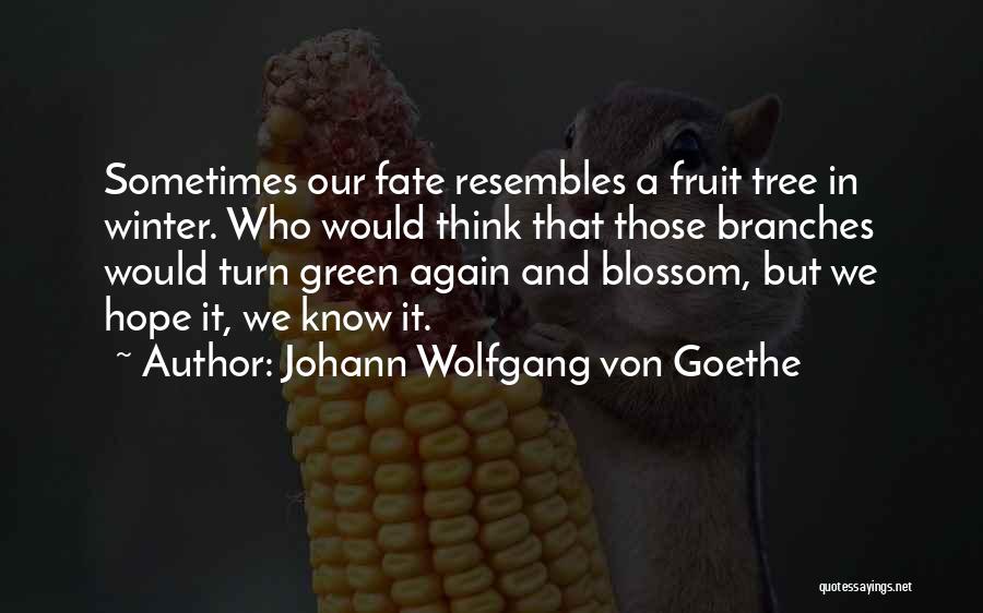 Blossom Tree Quotes By Johann Wolfgang Von Goethe