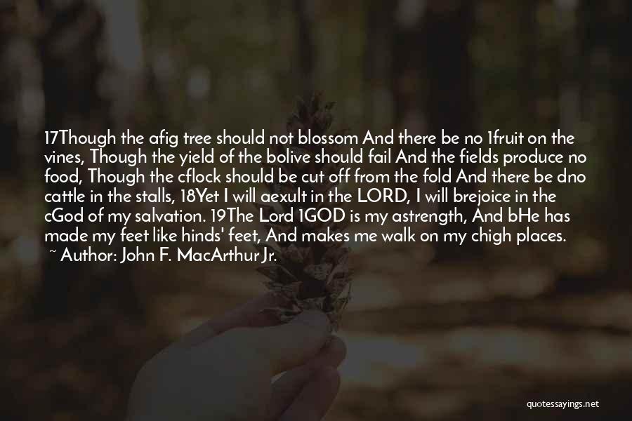 Blossom Tree Quotes By John F. MacArthur Jr.