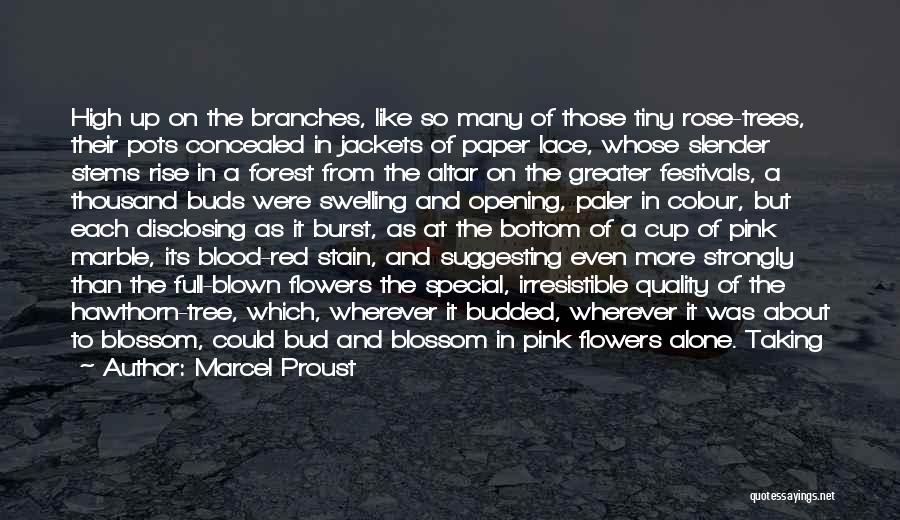 Blossom Tree Quotes By Marcel Proust