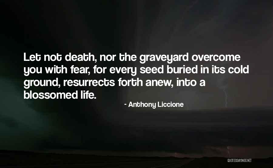 Blossomed Quotes By Anthony Liccione Blossomed Quotes By Anthony Liccione