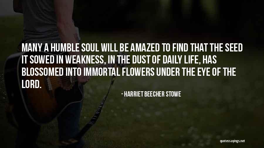 Blossomed Quotes By Harriet Beecher Stowe Blossomed Quotes By Harriet Beecher Stowe