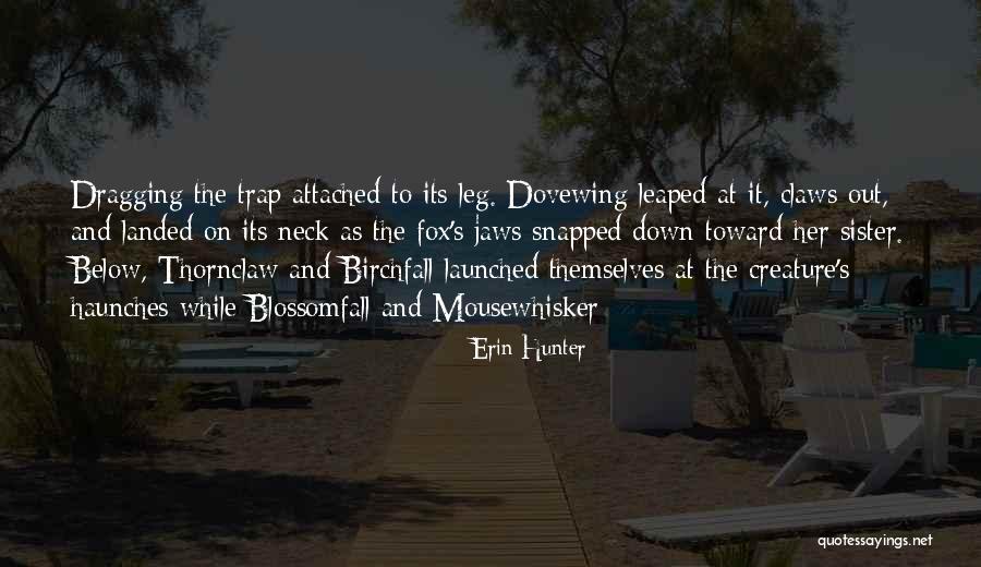 Blossomfall And Thornclaw Quotes By Erin Hunter Blossomfall And Thornclaw Quotes By Erin Hunter