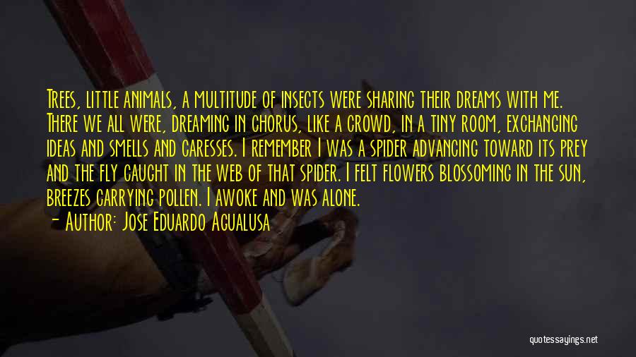 Blossoming Flowers Quotes By Jose Eduardo Agualusa