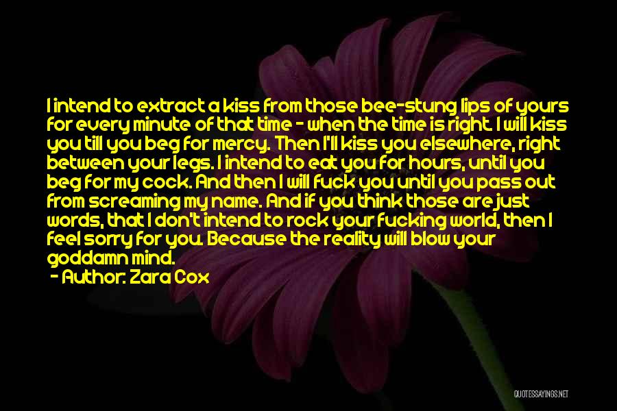 Blow Me A Kiss Quotes By Zara Cox