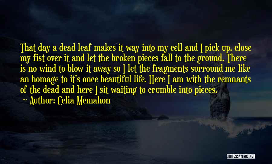 Blow Me Away Quotes By Celia Mcmahon