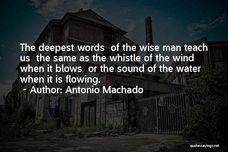 Blow My Whistle Quotes By Antonio Machado