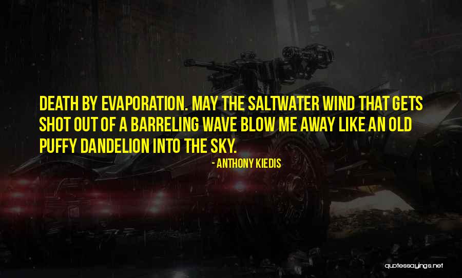 Blow Out Quotes By Anthony Kiedis Blow Out Quotes By Anthony Kiedis