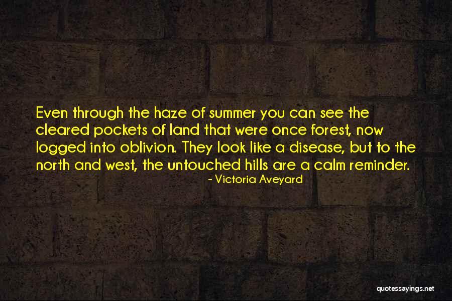 Blowback Pistol Quotes By Victoria Aveyard Blowback Pistol Quotes By Victoria Aveyard