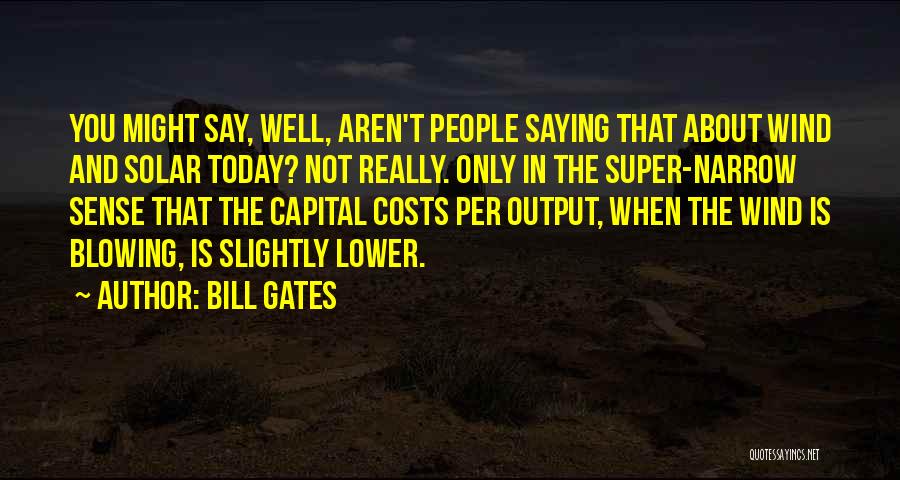 Blowing In The Wind Quotes By Bill Gates