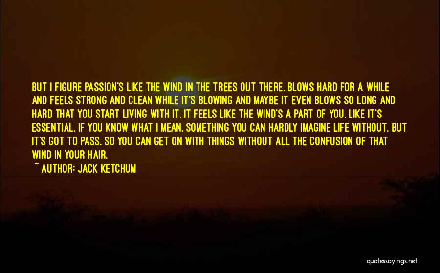 Blowing In The Wind Quotes By Jack Ketchum