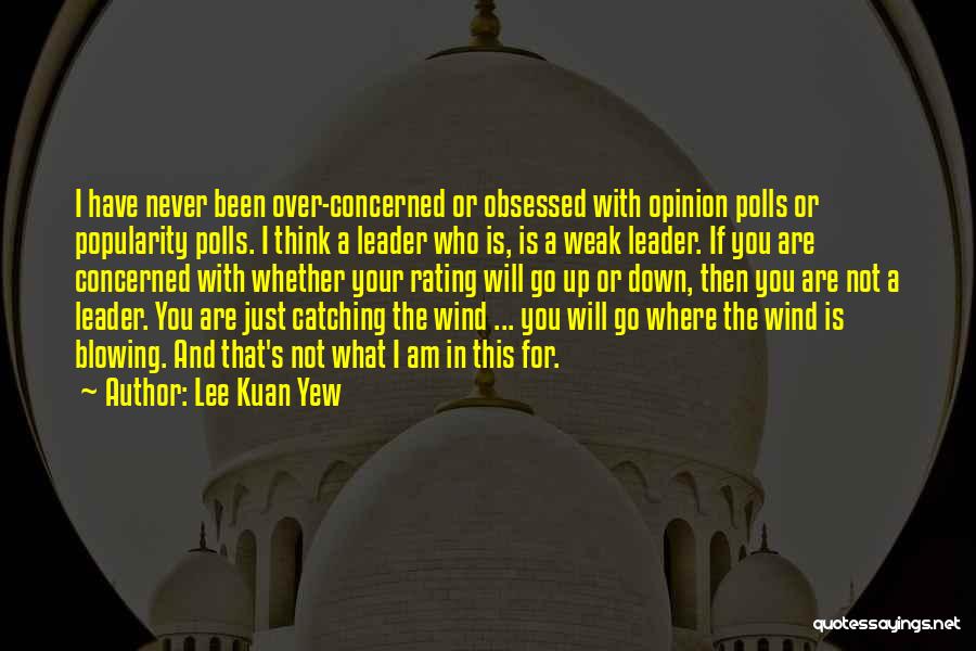 Blowing In The Wind Quotes By Lee Kuan Yew