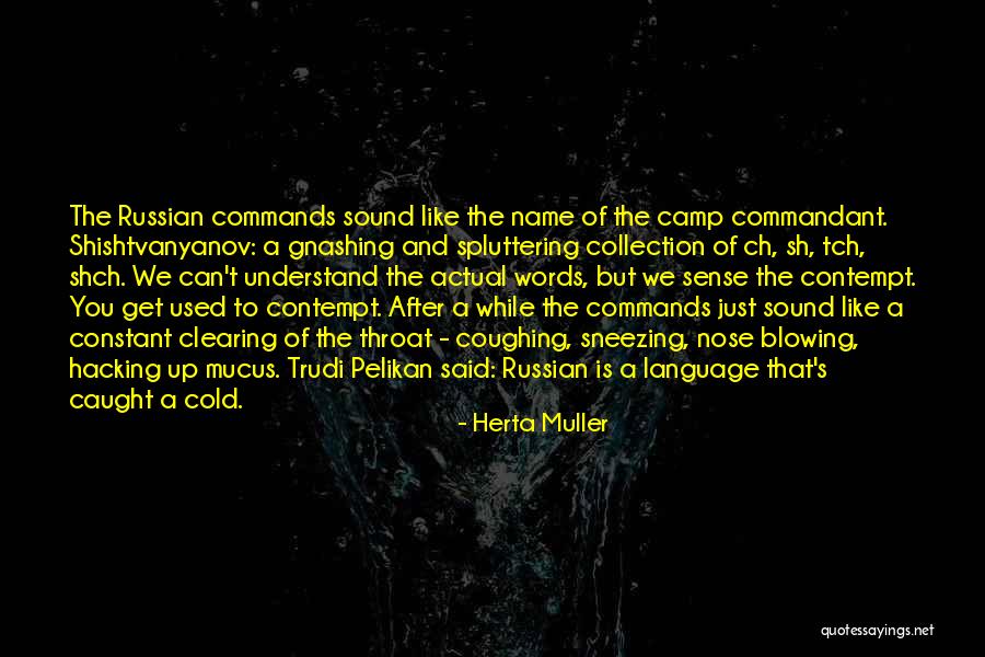 Blowing Up Quotes By Herta Muller