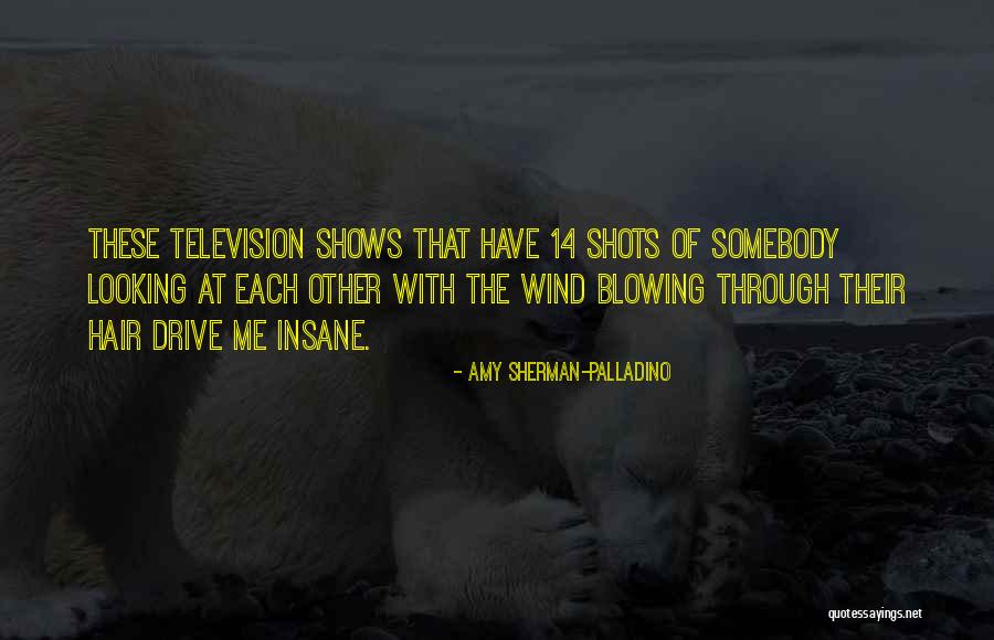 Blowing Wind Quotes By Amy Sherman-Palladino