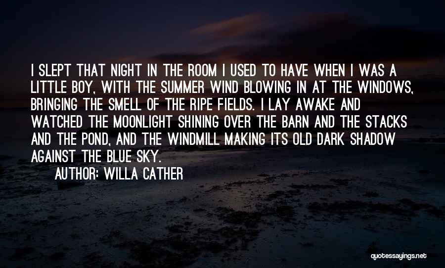 Blowing Wind Quotes By Willa Cather