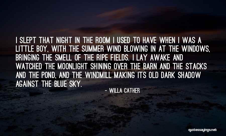 Blowing Wind Quotes By Willa Cather