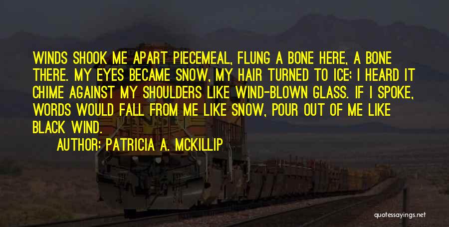 Blown Out Quotes By Patricia A. McKillip