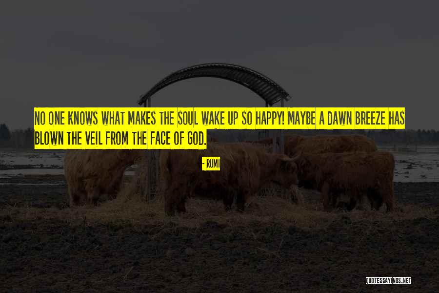 Blown Quotes By Rumi Blown Quotes By Rumi