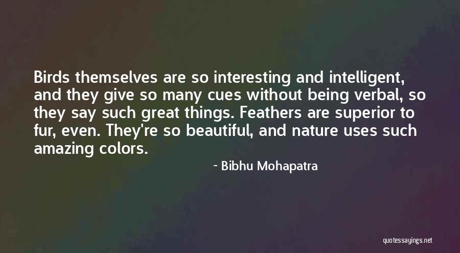 Blowup Waterslides Quotes By Bibhu Mohapatra Blowup Waterslides Quotes By Bibhu Mohapatra