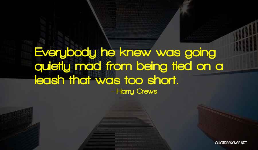 Bloxam Burnett Quotes By Harry Crews Bloxam Burnett Quotes By Harry Crews