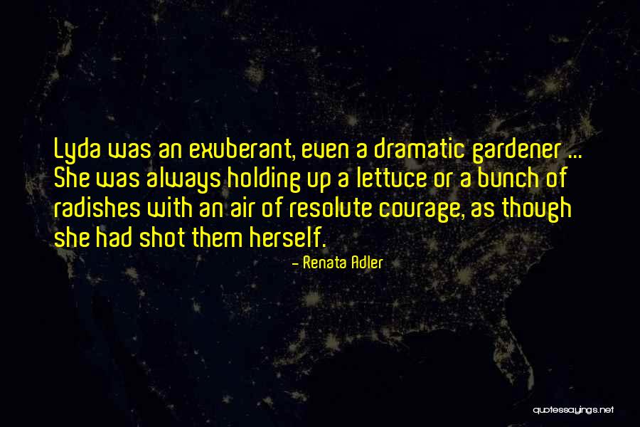 Blubaugh Music Quotes By Renata Adler Blubaugh Music Quotes By Renata Adler