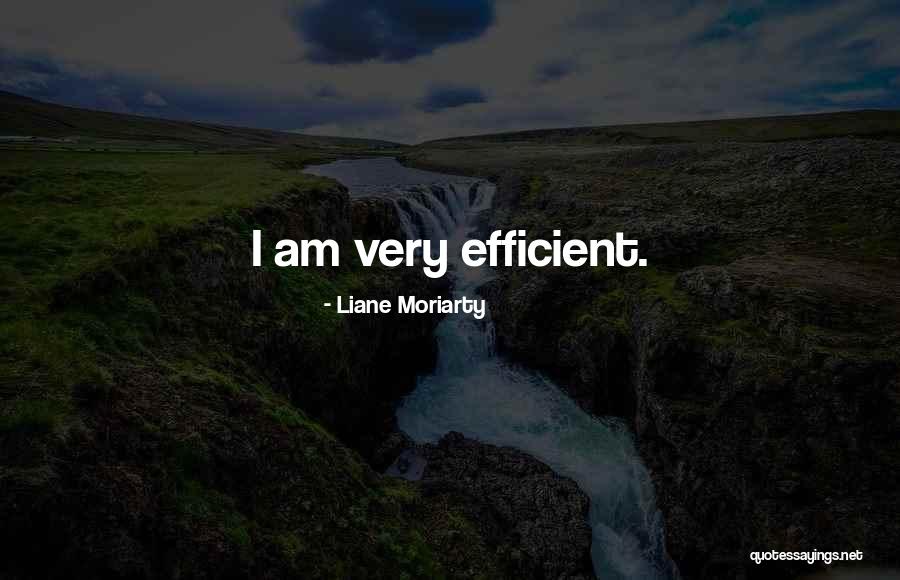Bludger Quidditch Quotes By Liane Moriarty Bludger Quidditch Quotes By Liane Moriarty