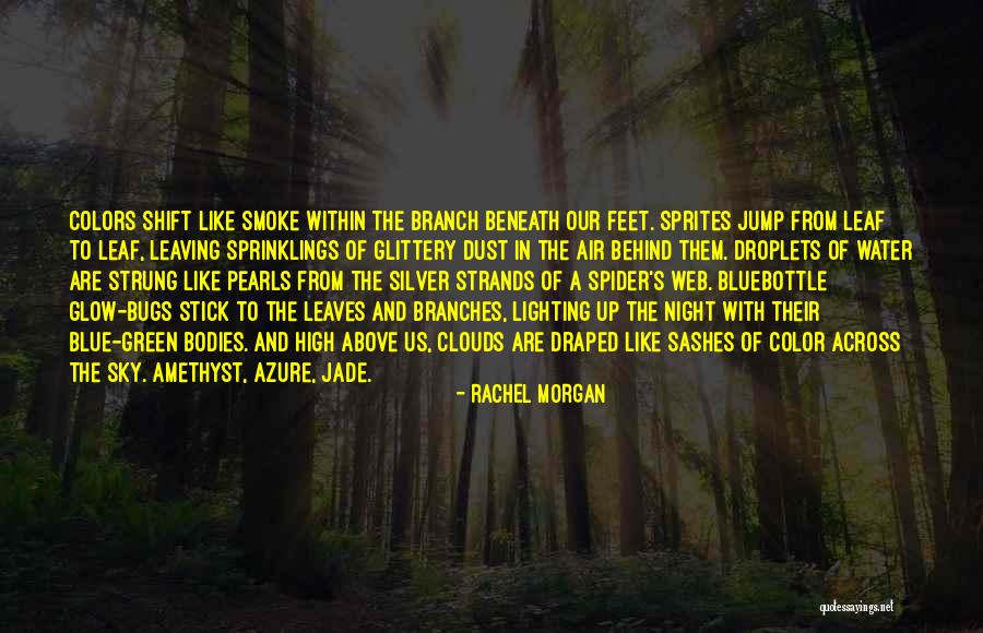 Blue And Green Color Quotes By Rachel Morgan