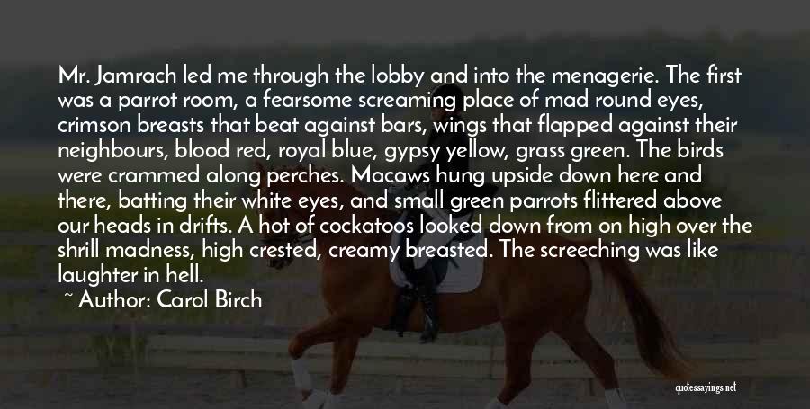 Blue And Green Eyes Quotes By Carol Birch