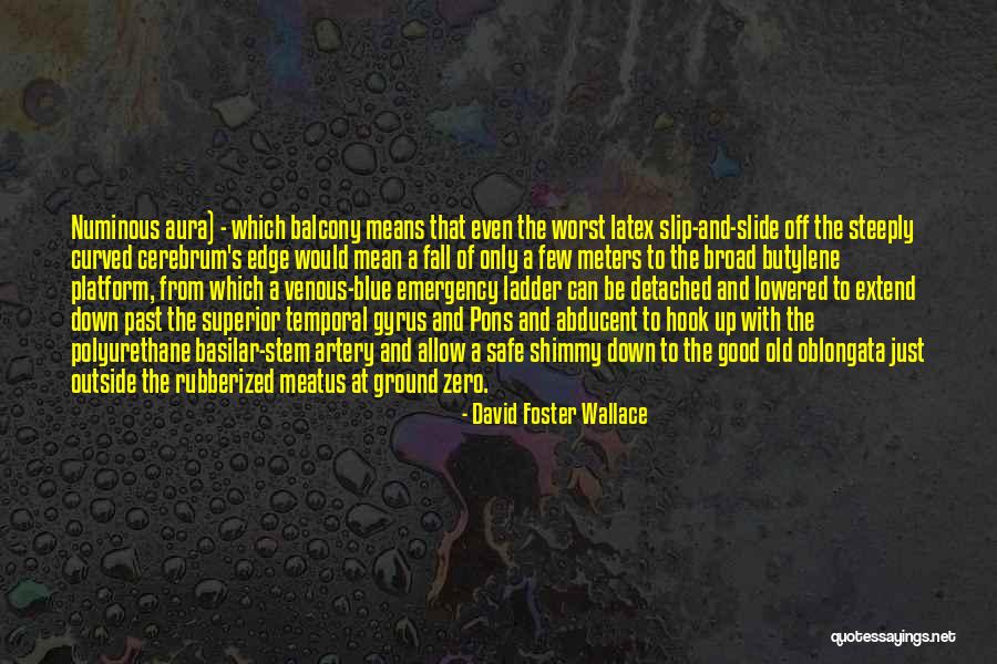 Blue Aura Quotes By David Foster Wallace