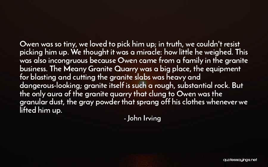 Blue Aura Quotes By John Irving