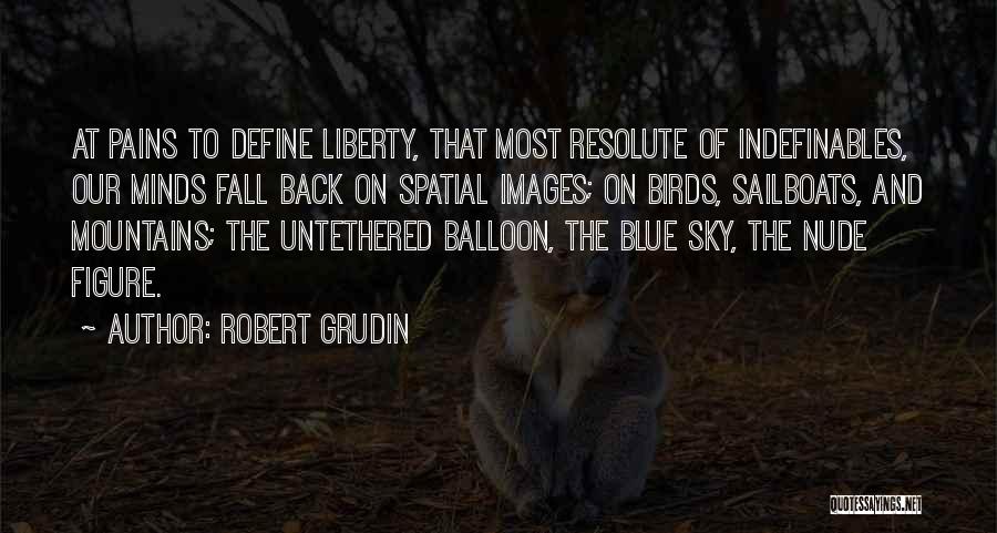 Blue Balloon Quotes By Robert Grudin