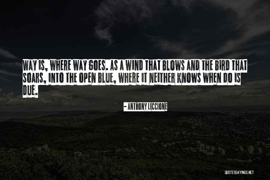 Blue Bird Quotes By Anthony Liccione Blue Bird Quotes By Anthony Liccione