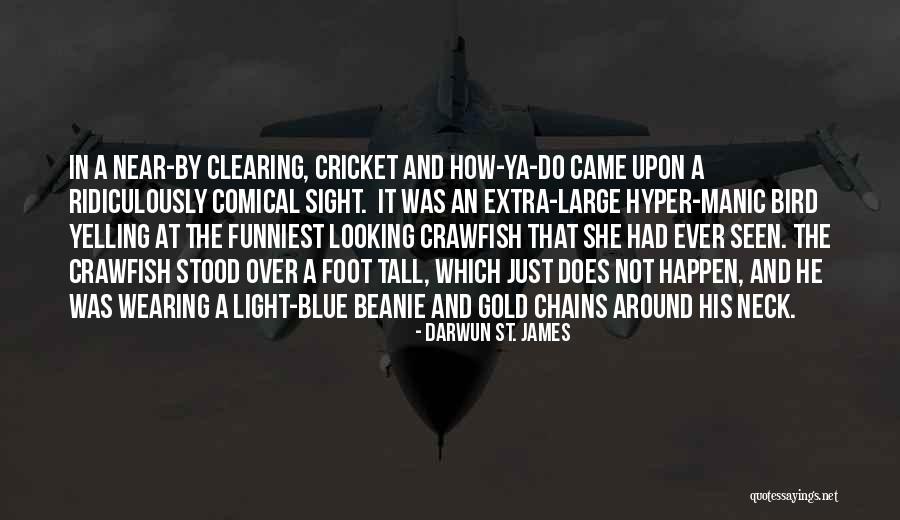Blue Bird Quotes By Darwun St. James Blue Bird Quotes By Darwun St. James