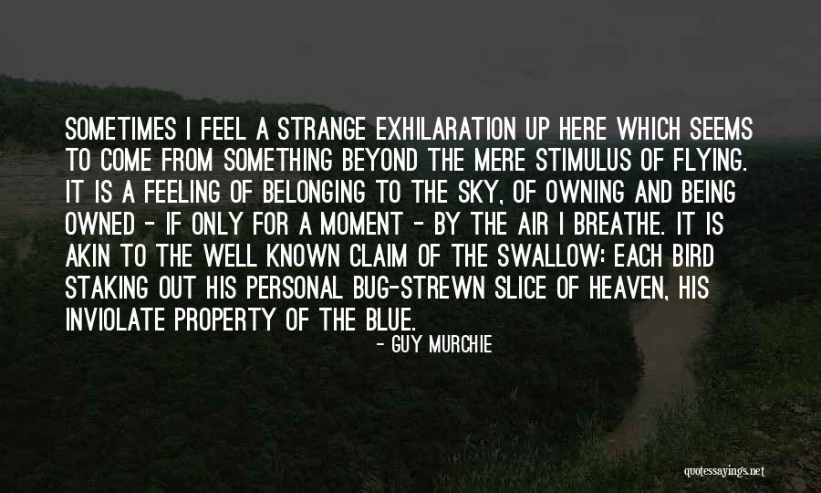 Blue Bird Quotes By Guy Murchie Blue Bird Quotes By Guy Murchie