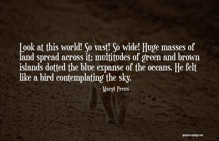 Blue Bird Quotes By Margi Preus Blue Bird Quotes By Margi Preus