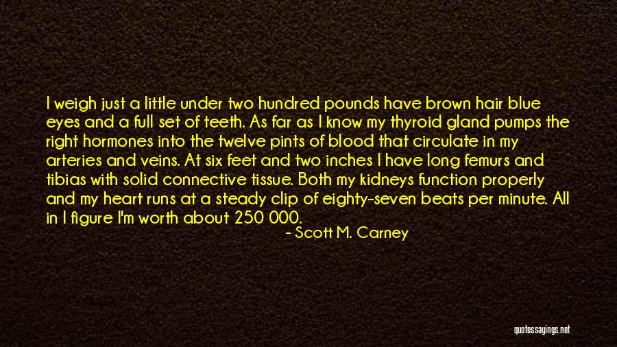 Blue Blood Quotes By Scott M. Carney Blue Blood Quotes By Scott M. Carney