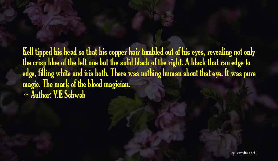 Blue Blood Quotes By V.E Schwab