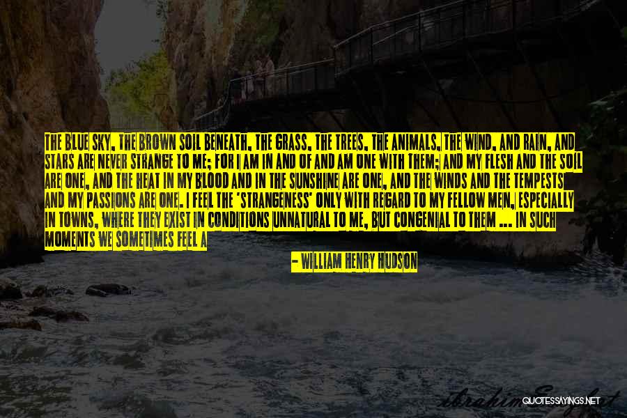 Blue Blood Quotes By William Henry Hudson Blue Blood Quotes By William Henry Hudson