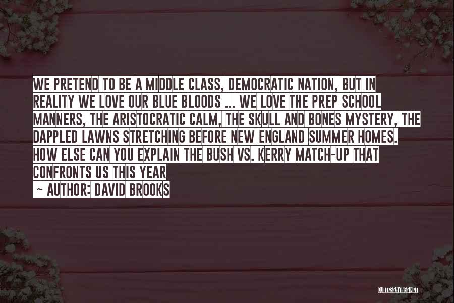 Blue Bloods Quotes By David Brooks
